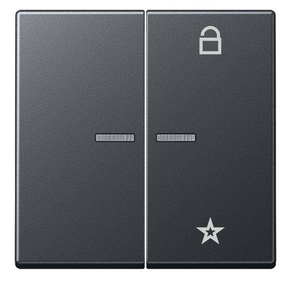 Jung eNet Funk-Steuertaste FM A 1701 BF ANM