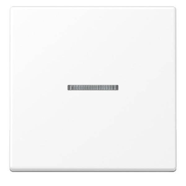 Jung eNet Funk-Steuertaste FM A 1700 BF WWM