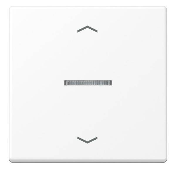 Jung eNet Funk-Steuertaste FM A 1700 BFP WWM