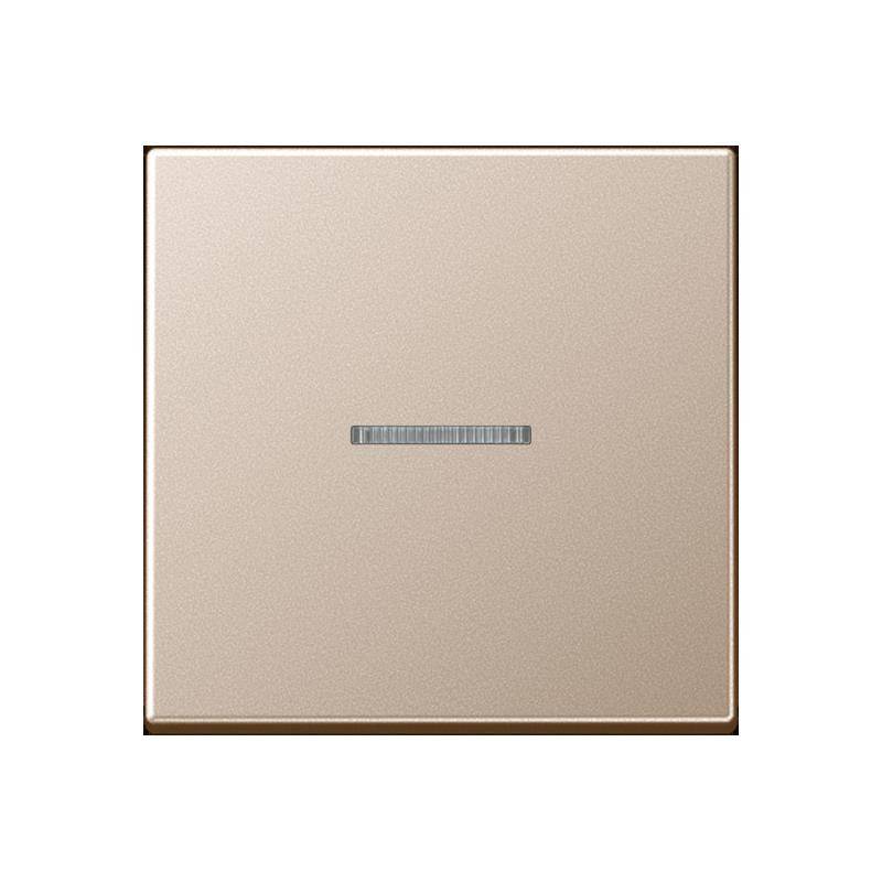 Jung Taster 1fach BT A 17101 CH