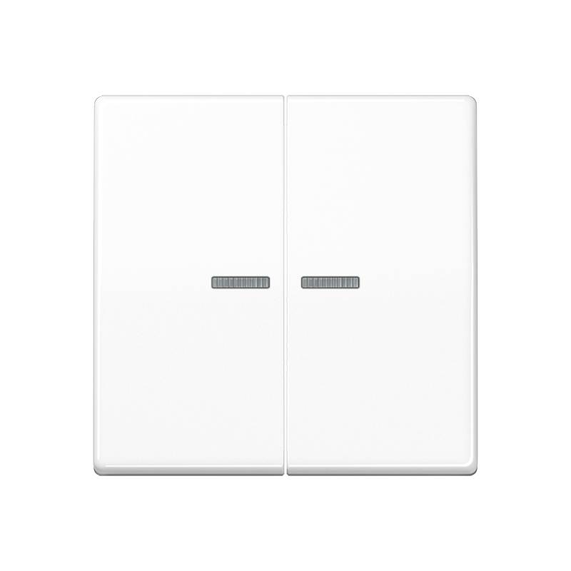 Jung Taster 2fach BT A 17102 WW