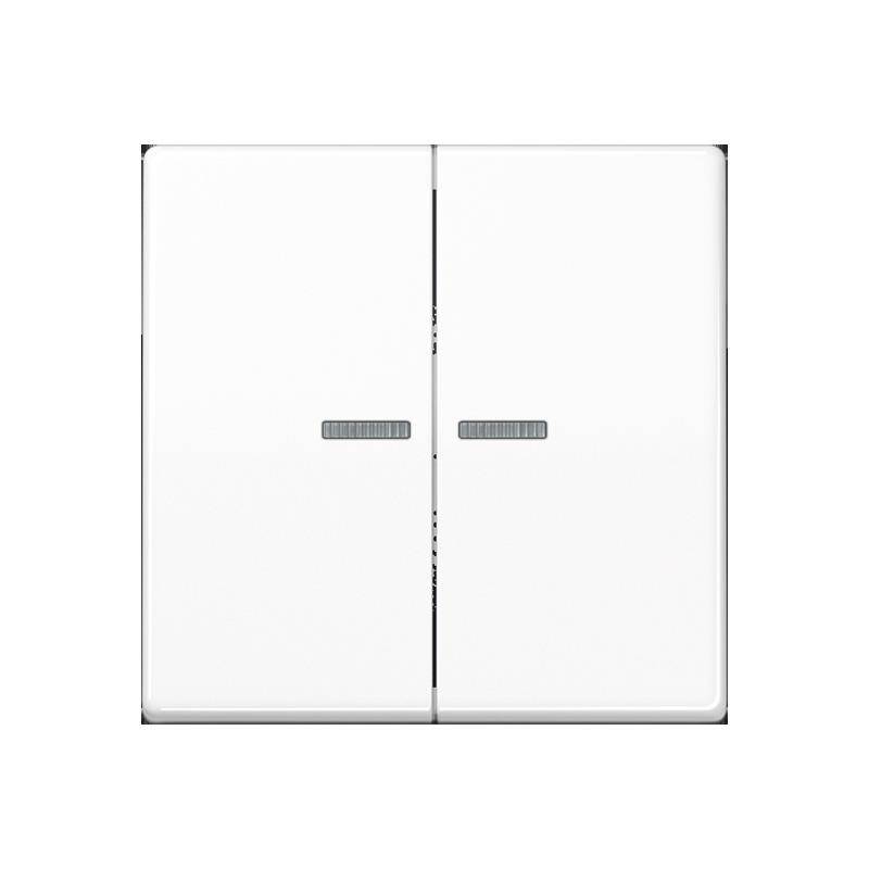 Jung Starterset A 550 JH-PAKET 1A WW