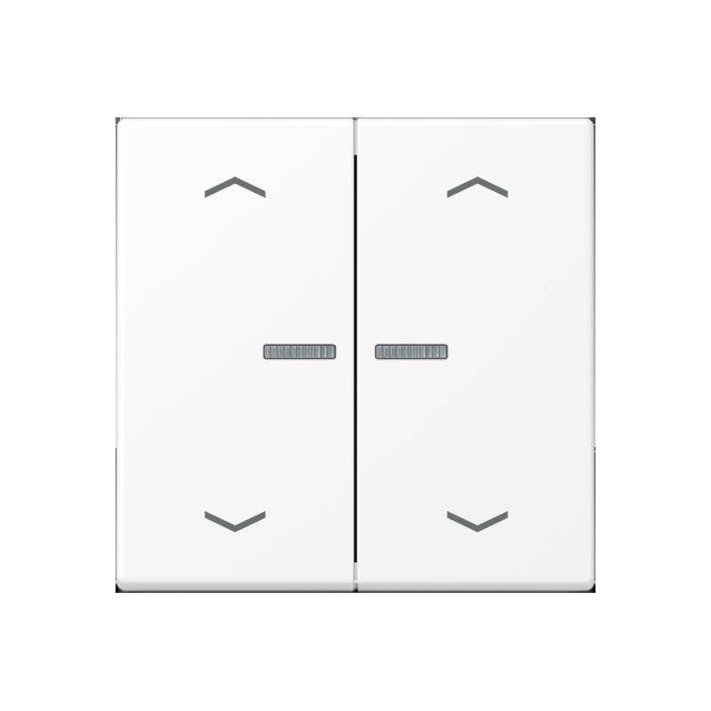 Jung Taster 2fach BT A 17102 P WWM