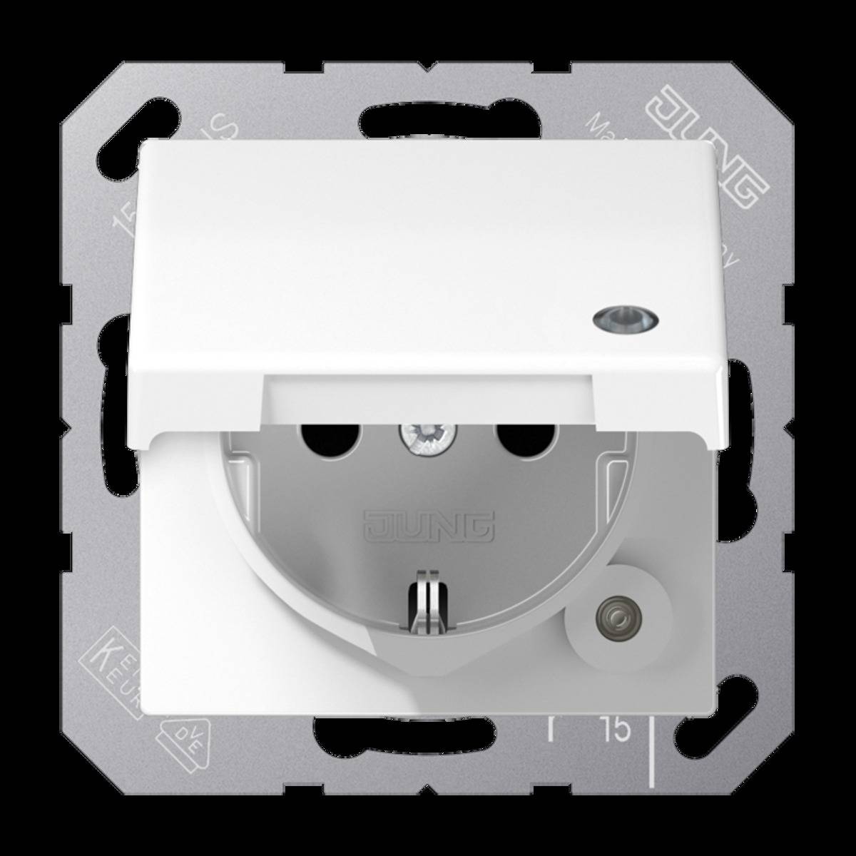 Jung Taster 1fach BT A 17101 WW