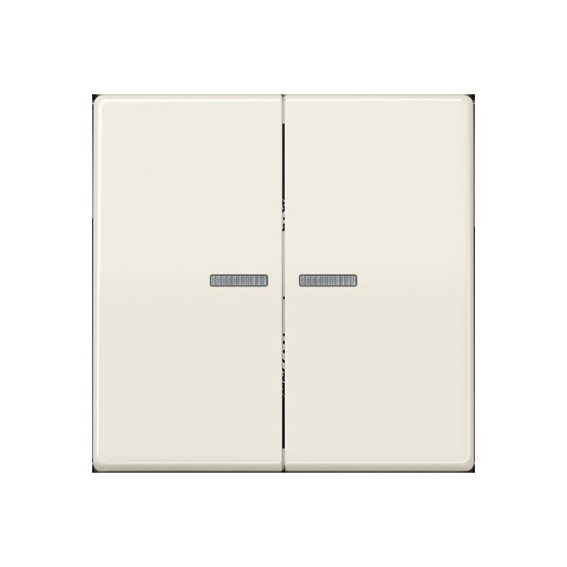 Jung Taster 2fach BT AS 17102