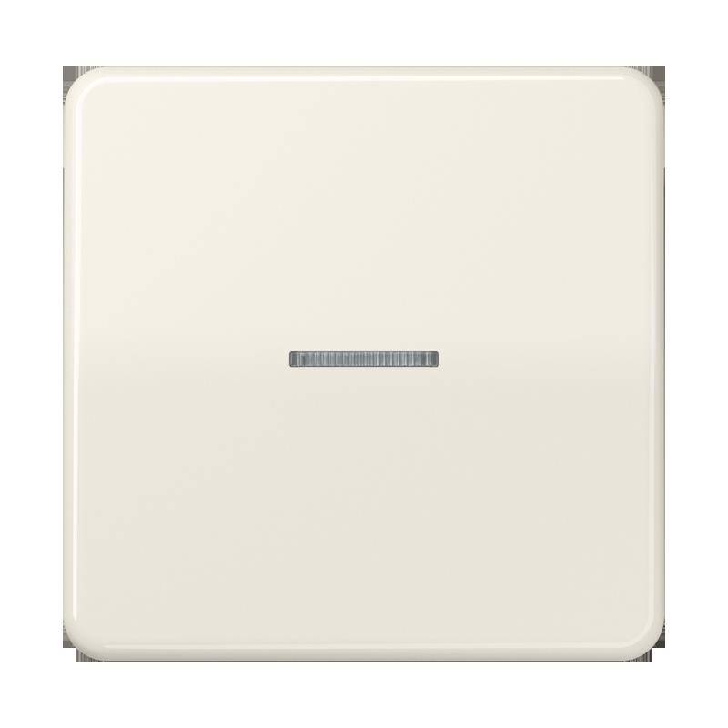 Jung Taster 1fach BT CD 17101