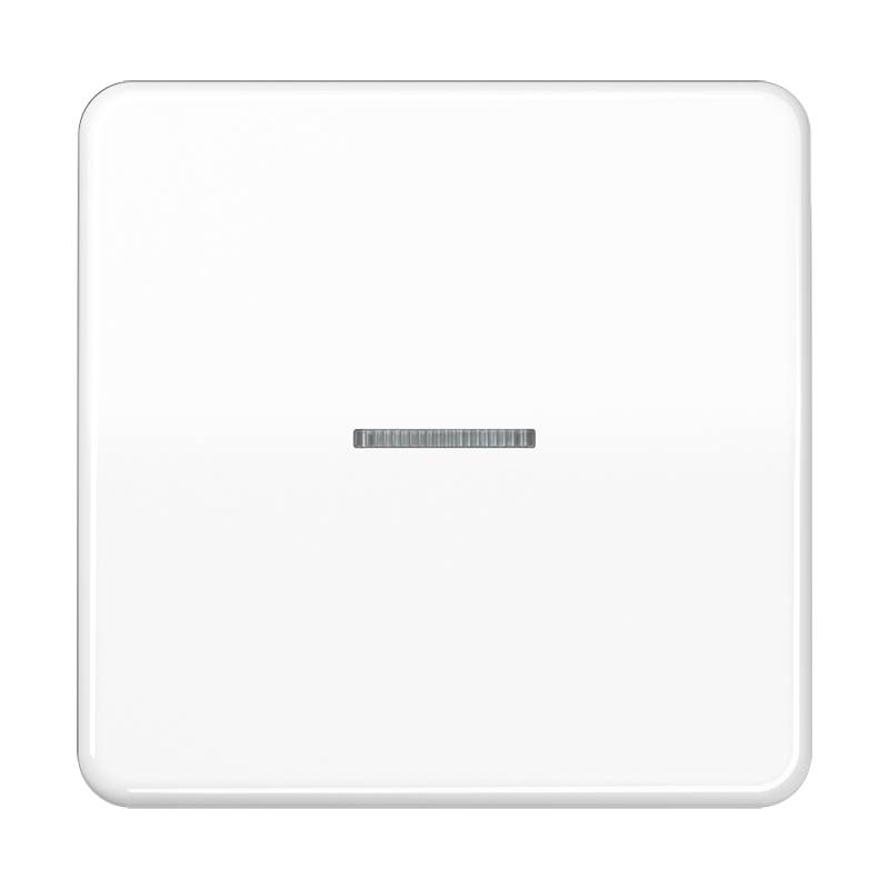 Jung Taster 1fach BT CD 17101 WW