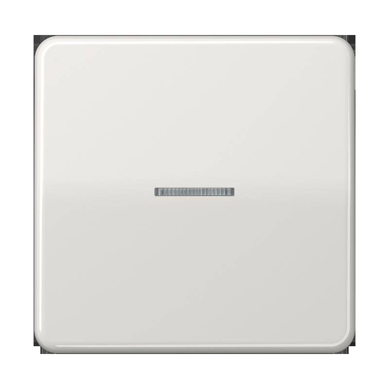 Jung Taster 1fach BT CD 17101 LG