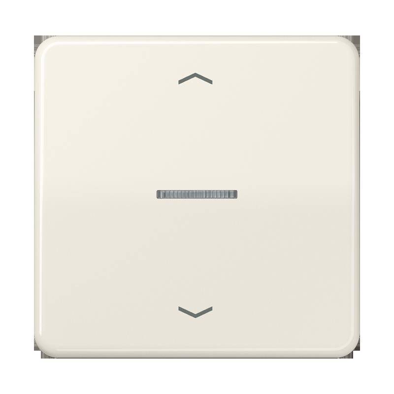 Jung Taster 1fach BT CD 17101 P