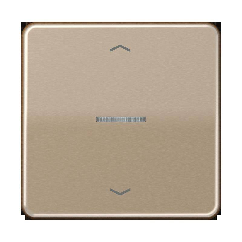 Jung Taster 1fach BT CD 17101 P GB