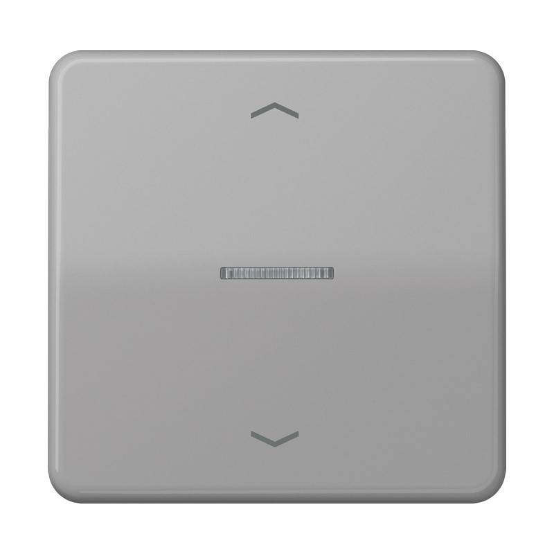 Jung Taster 1fach BT CD 17101 P GR