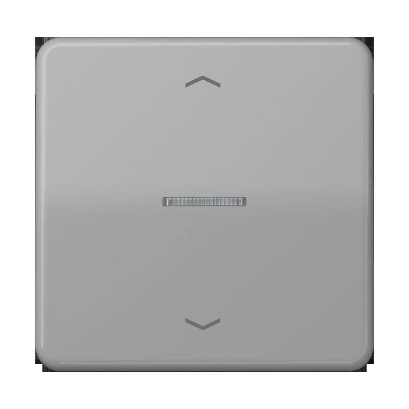 Jung Taster 1fach BT CD 17101 P GR