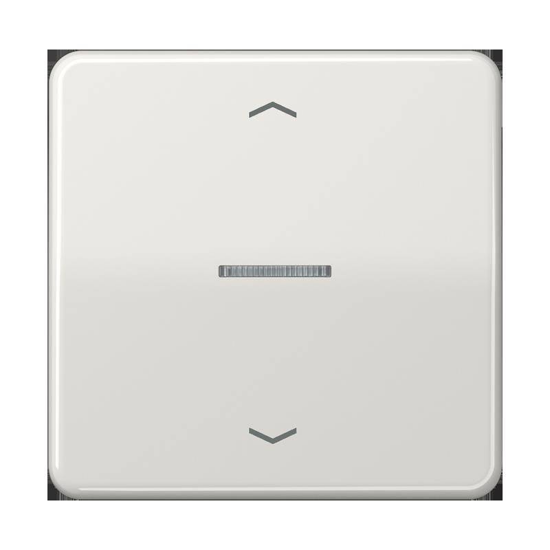 Jung Taster 1fach BT CD 17101 P LG