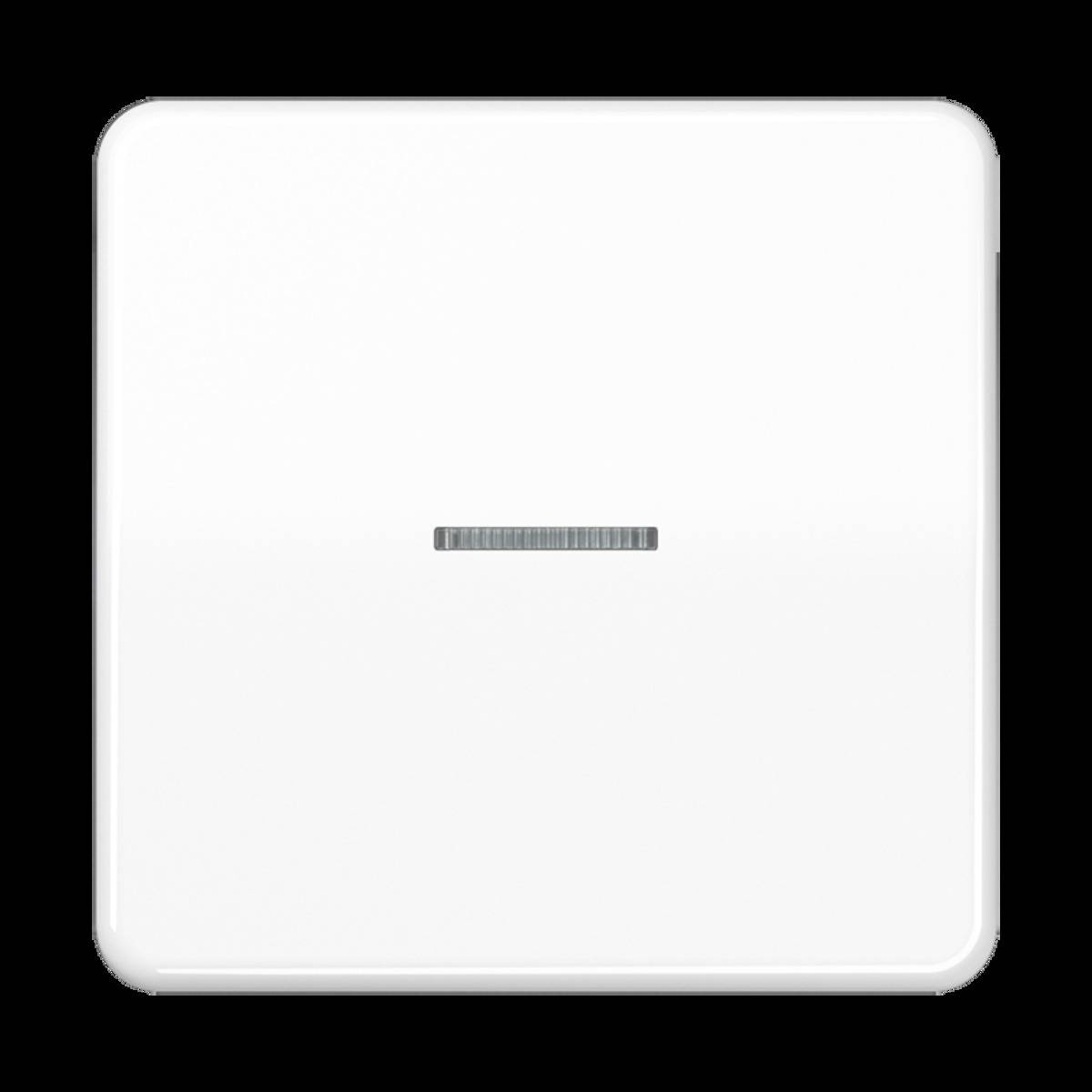 Jung Taster 1fach BT CD 17101 P WW