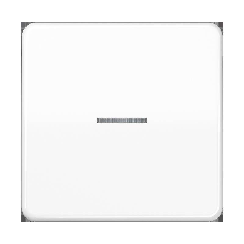 Jung Taster 1fach BT CD 17101 WW