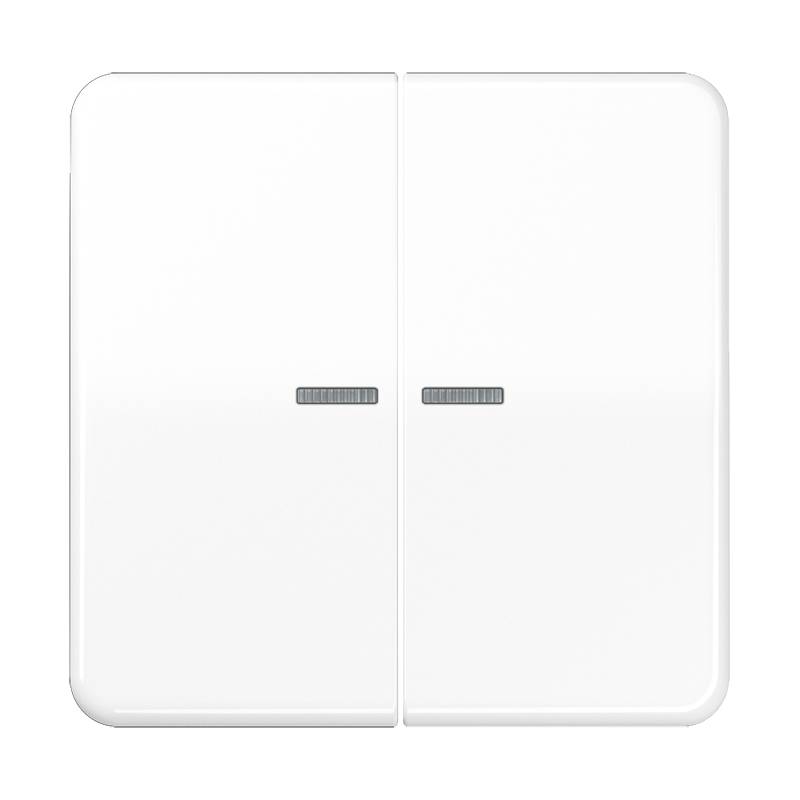 Jung Taster 2fach BT CD 17102 BR