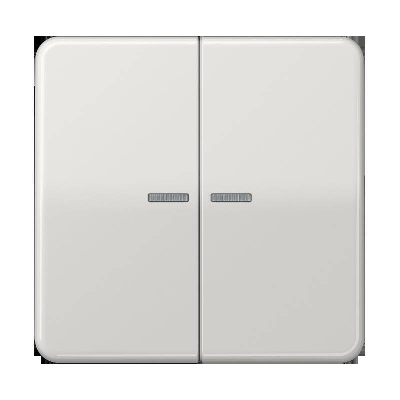 Jung Taster 2fach BT CD 17102 LG