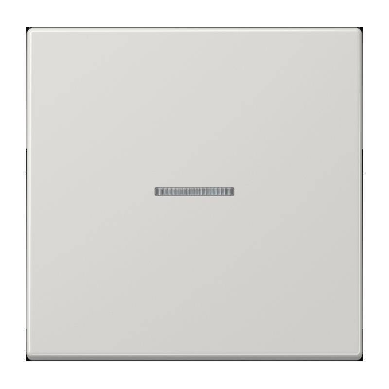 Jung Taster 1fach BT LS 17101 LG