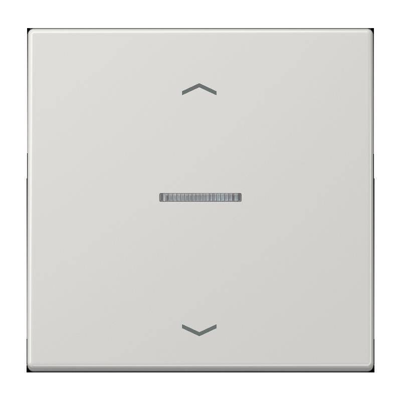 Jung Taster 1fach BT LS 17101 P LG
