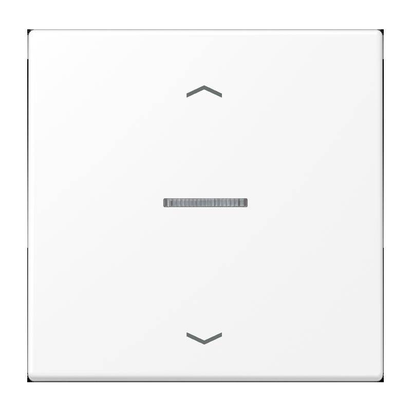 Jung Taster 1fach BT LS 17101 P WWM