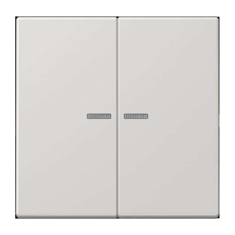 Jung Taster 2fach BT LS 17102 LG