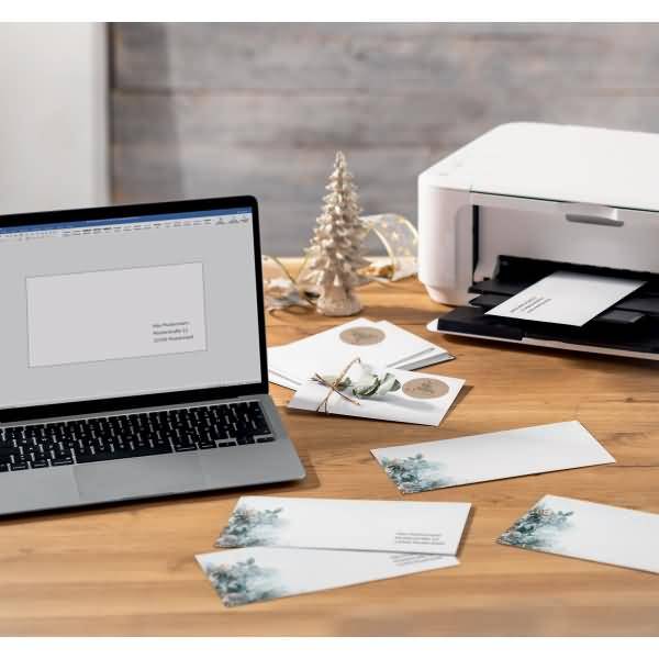 Weihnachtsumschlag DIN lang 90g 50 Stück Eucalyptus magic