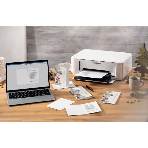 Weihnachtskarte A6 (A5) 250g 25+25 Stück Red berries and pine cones