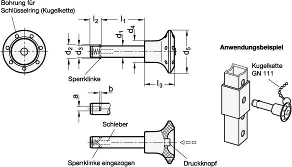 Steckbolzen 6 x 25, mit Axialsicherung, Bolzen Edelstahl 1.4
