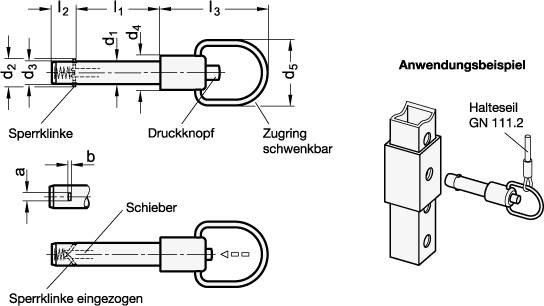 EDELSTAHL-STECKBOLZEN MIT BÜGEL