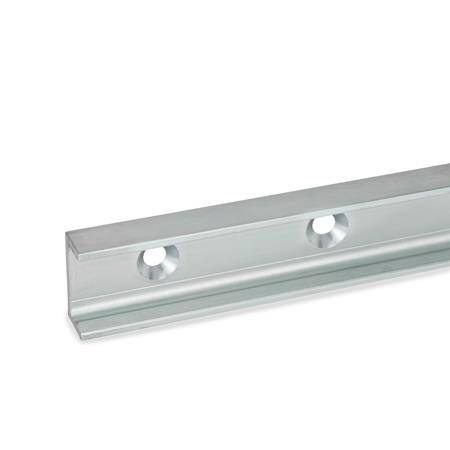 LAUFSCHIENE