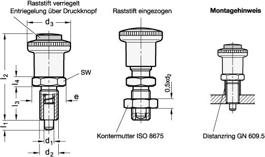 SICHERHEITSRASTBOLZEN