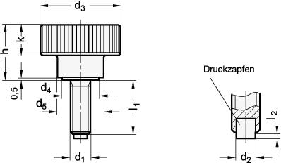 RÄNDELHOHLSCHRAUBE MIT KUNSTSTOFFZAPFEN