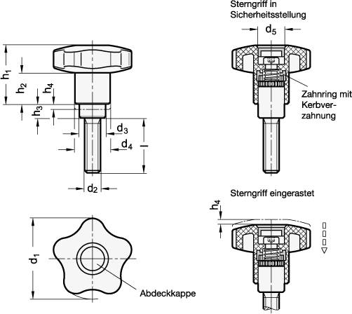 EDELSTAHL-SICHERHEITS-STERNGRIFFSCHRAUBE