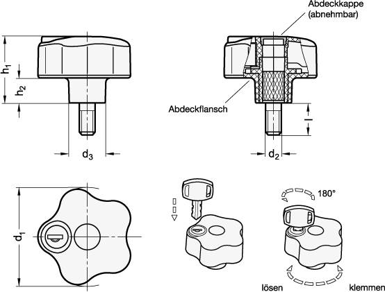 Sicherheits-Sterngriffe 63, M8 x 20, Form SU - Schließung un