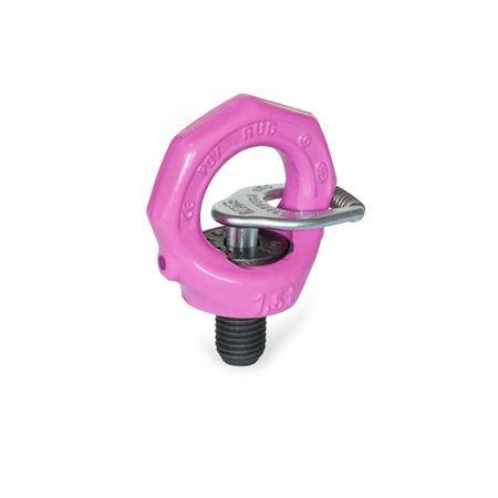 DREHBARE RINGSCHRAUBE MIT SCHLÜSSELBLECH