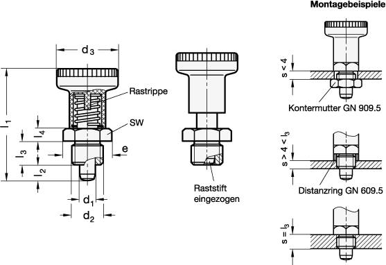 EDELSTAHL-RASTBOLZEN, MIT RASTSPERRE