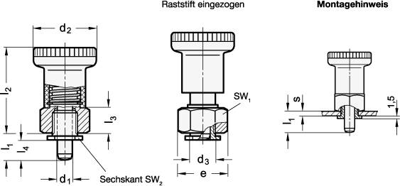 RASTBOLZEN