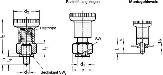 RASTBOLZEN