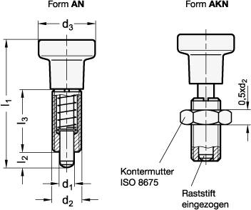 EDELSTAHL-RASTBOLZEN MIT EDELSTAHL-KN.