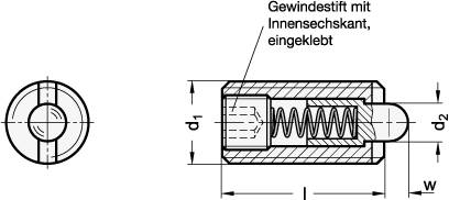 FEDERNDES DRUCKSTÜCK, BOLZEN KUNSTSTOFF
