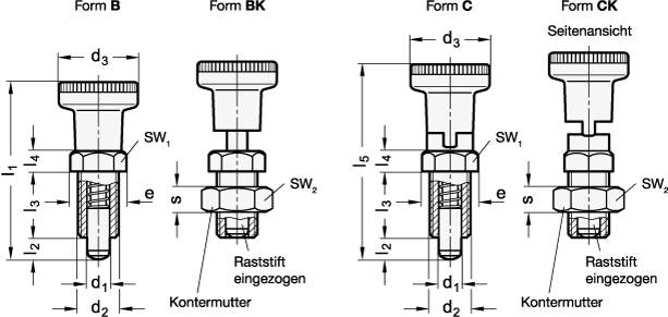 KUNSTSTOFF-RASTBOLZEN MIT KONTERM., RASTST. STAHL