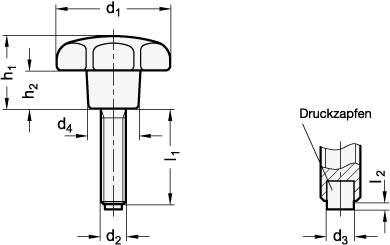 STERNGRIFFSCHRAUBE MIT MESSINGZAPFEN