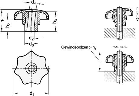 Schnellspann-Sterngriff 40, M8, Thermoplast, Buchse Edelstah