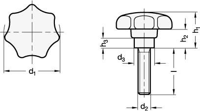 EDELSTAHL-STERNGRIFFSCHRAUBE (THERMOPLAST)
