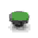 Sterngriffe 45, M8, Form E mit Gewindesackloch, grün