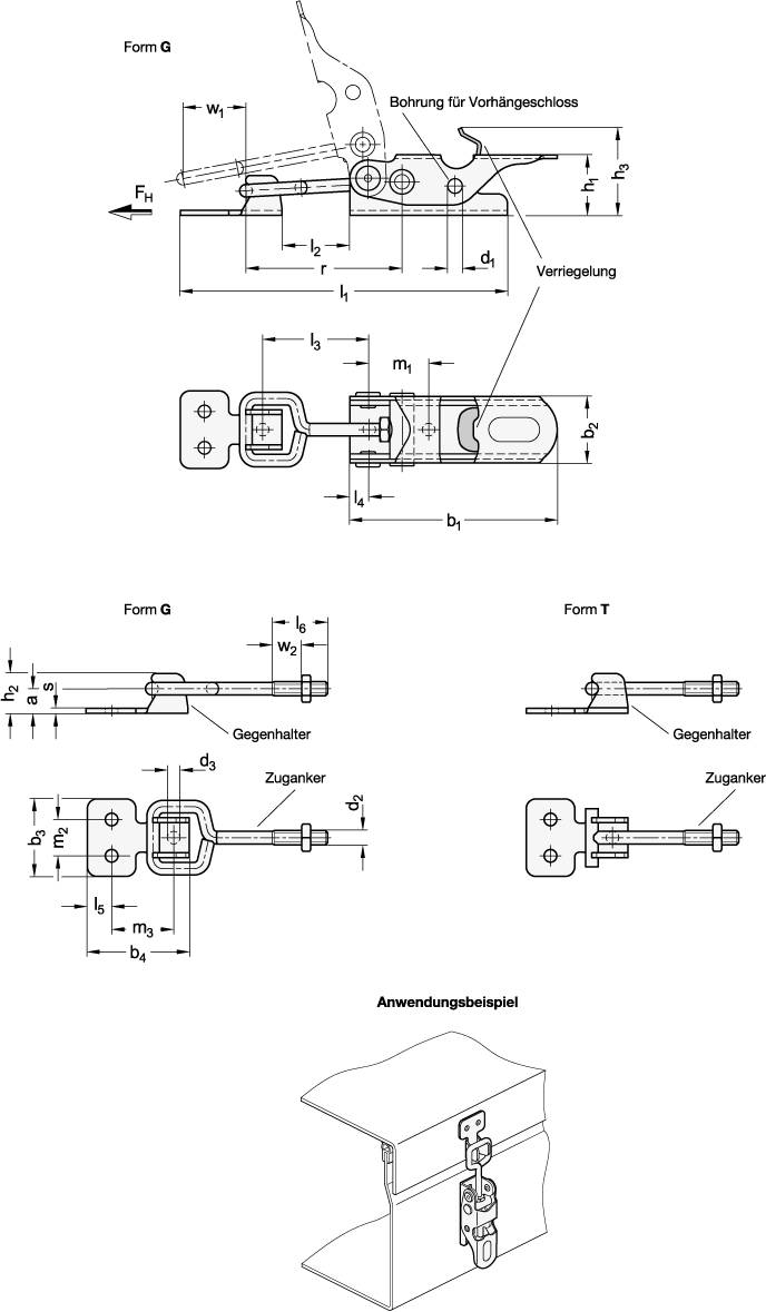 Spannverschluss 100, Form G - Zuganker mit Öse, mit Gegenhal