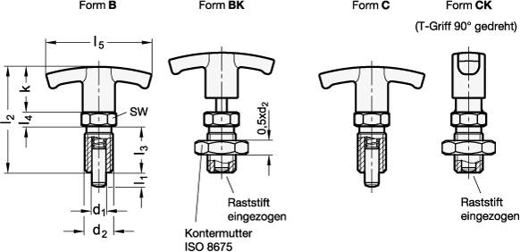 EDELSTAHL-RASTBOLZEN MIT T-GRIFF UND KONTERMUTTER
