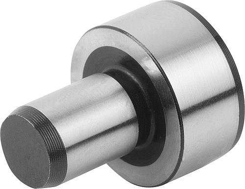 Aufnahmebolzen D1=10 mm, L1= 6 mm, Form A, Werkzeugstahl, ge