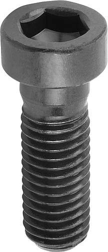 Zylinderschraube M10 x 25, 10.9, niedriger Kopf mit Schlüsse