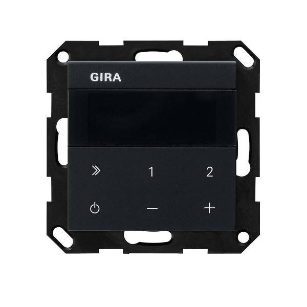 Gira UP-Radio IP 2320005